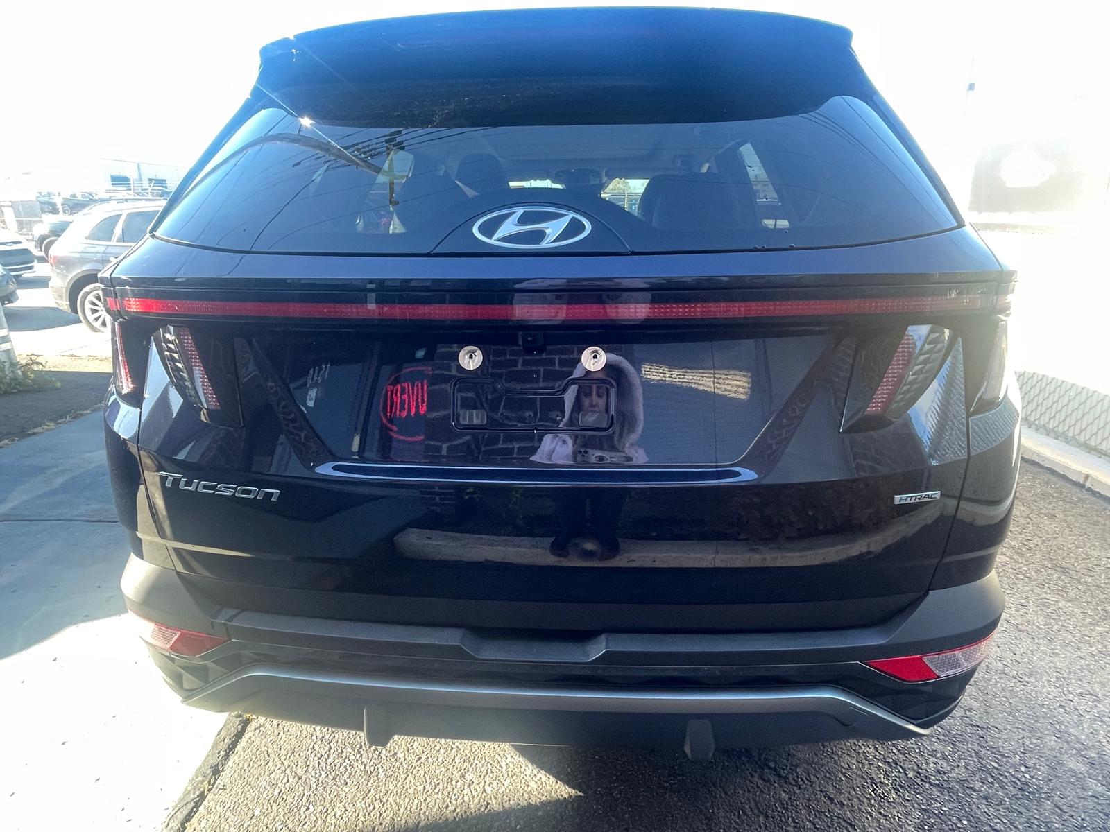 PHOTO-2025-11-04-11-00-27 2.jpg