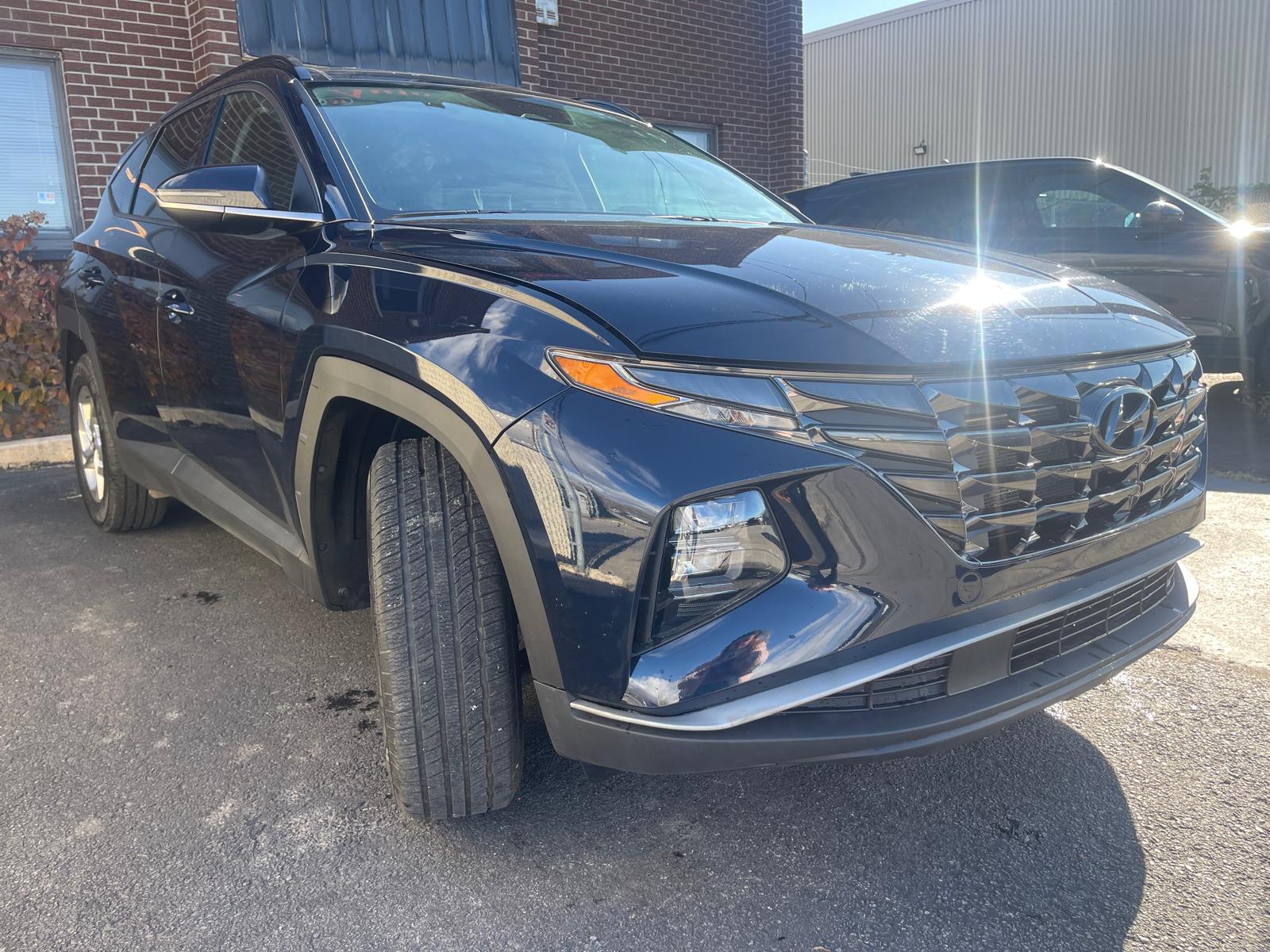 PHOTO-2025-11-04-11-00-28 25.jpg