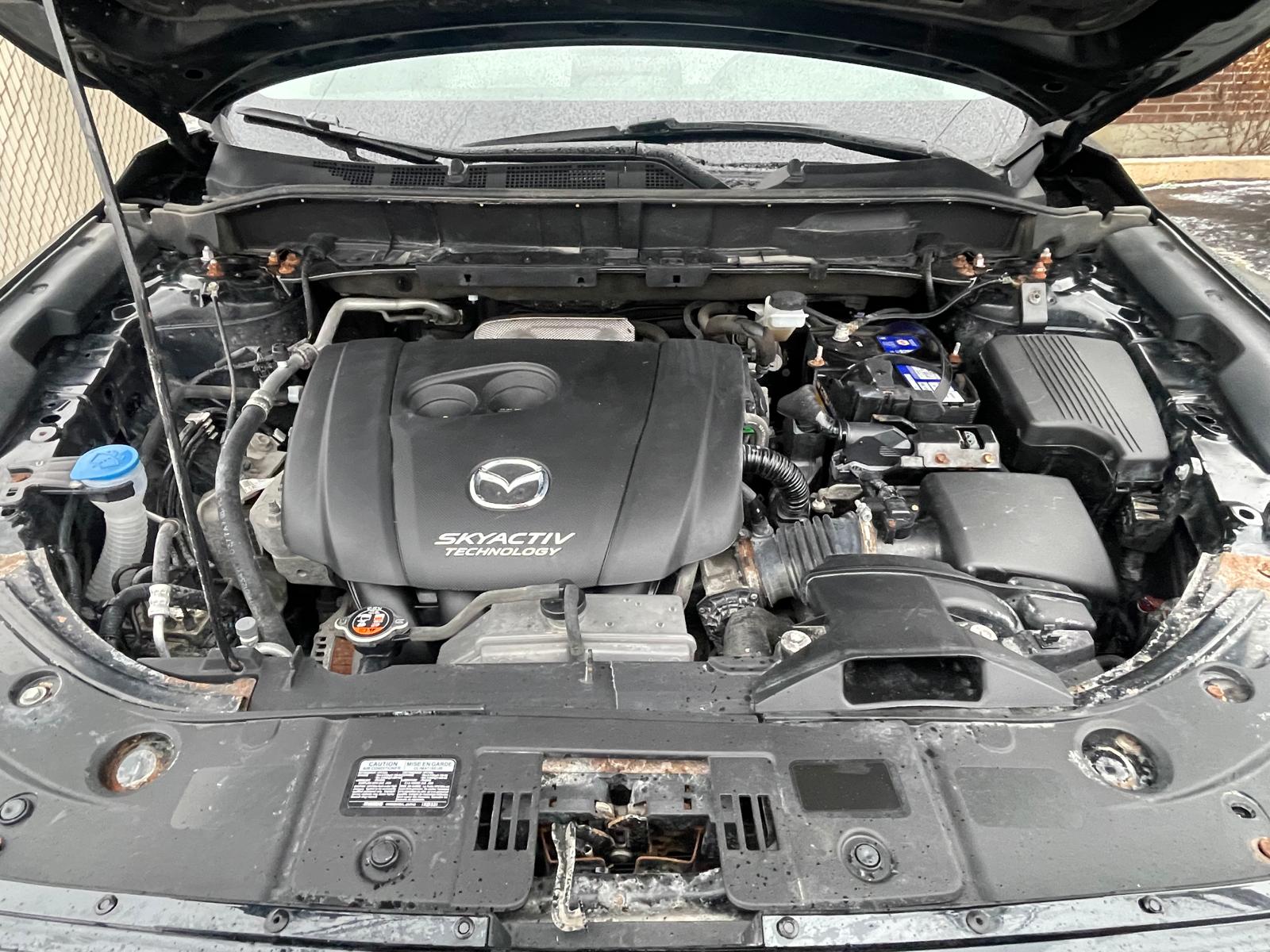 PHOTO-2025-11-21-10-36-02 7.jpg