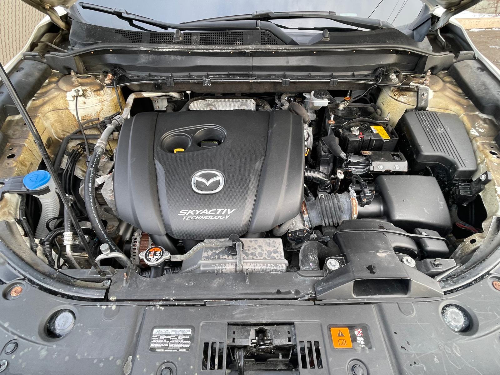 PHOTO-2025-12-30-15-28-22 26.jpg