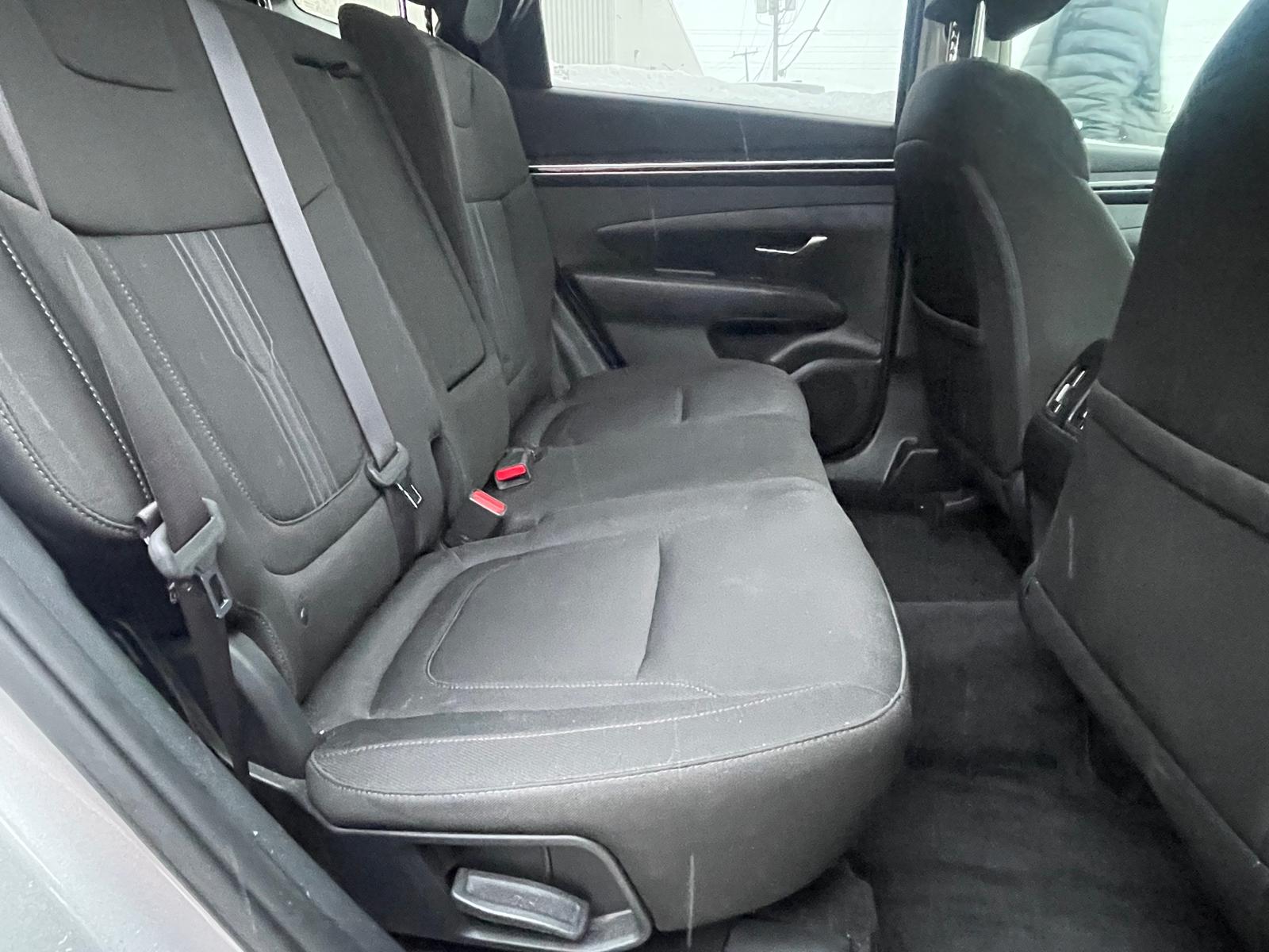 PHOTO-2026-01-05-17-16-09 3.jpg