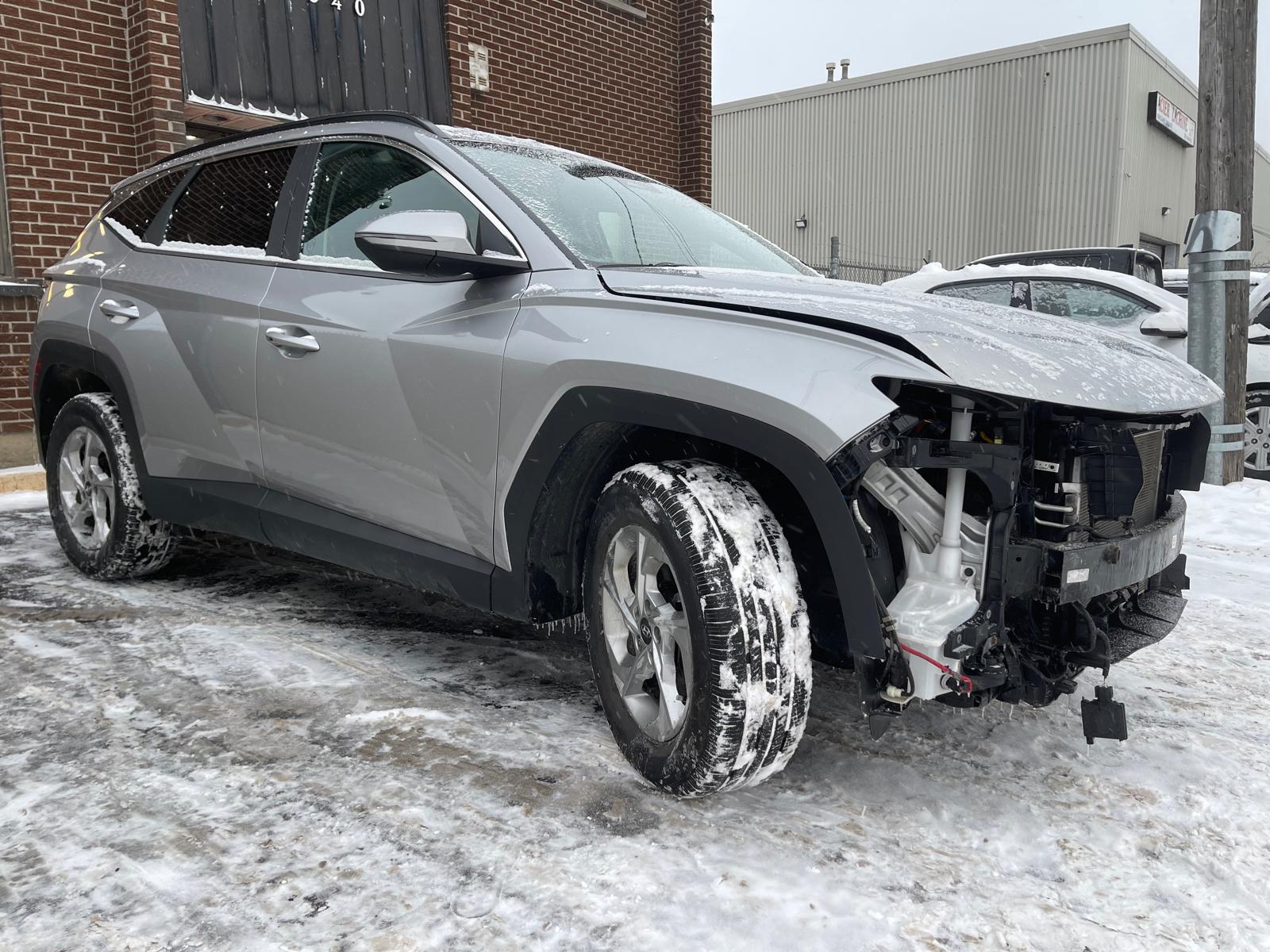 PHOTO-2026-01-05-17-16-08 6.jpg