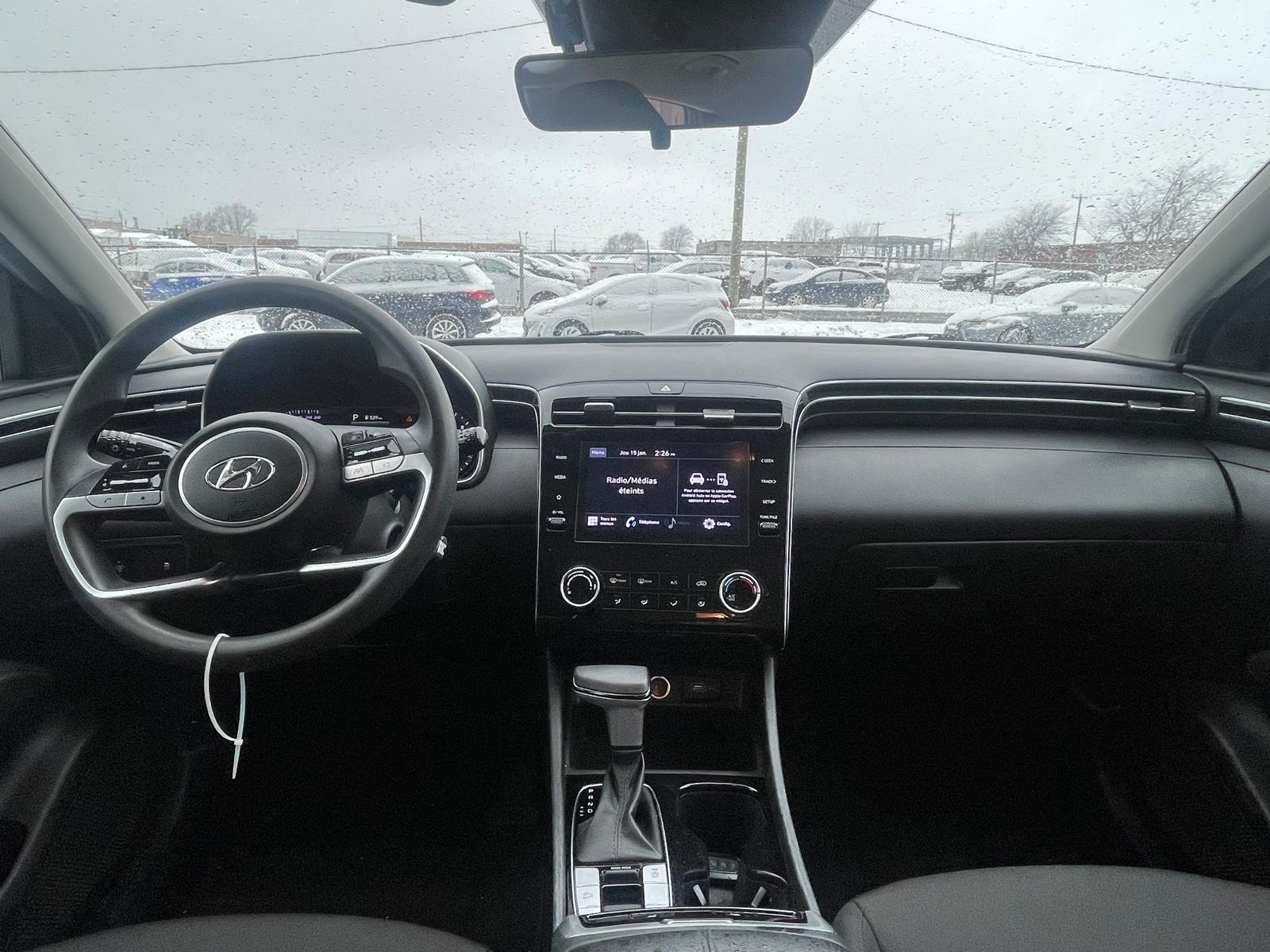 PHOTO-2026-01-15-14-33-53 12.jpg