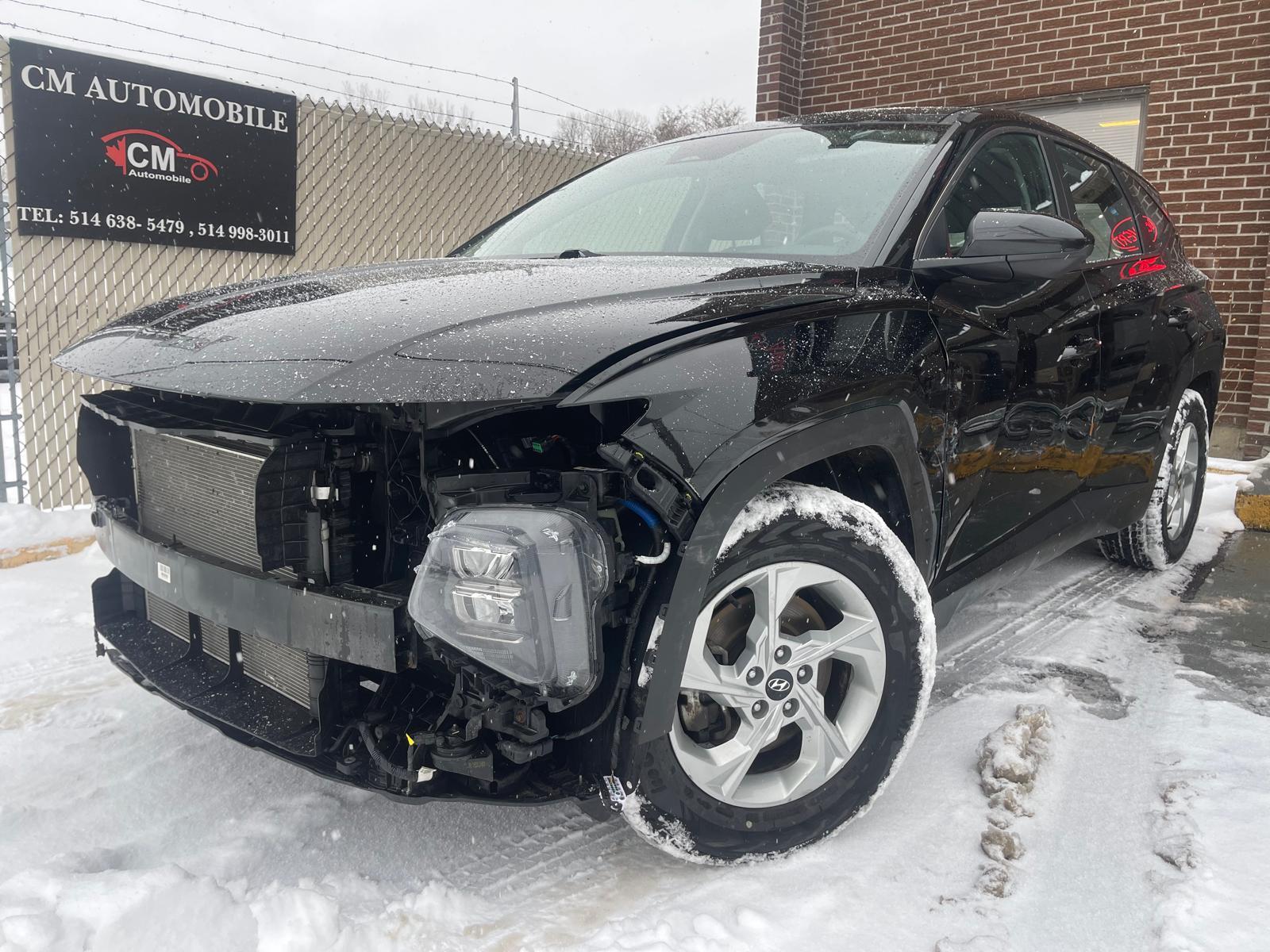 PHOTO-2026-01-15-14-33-52 3.jpg