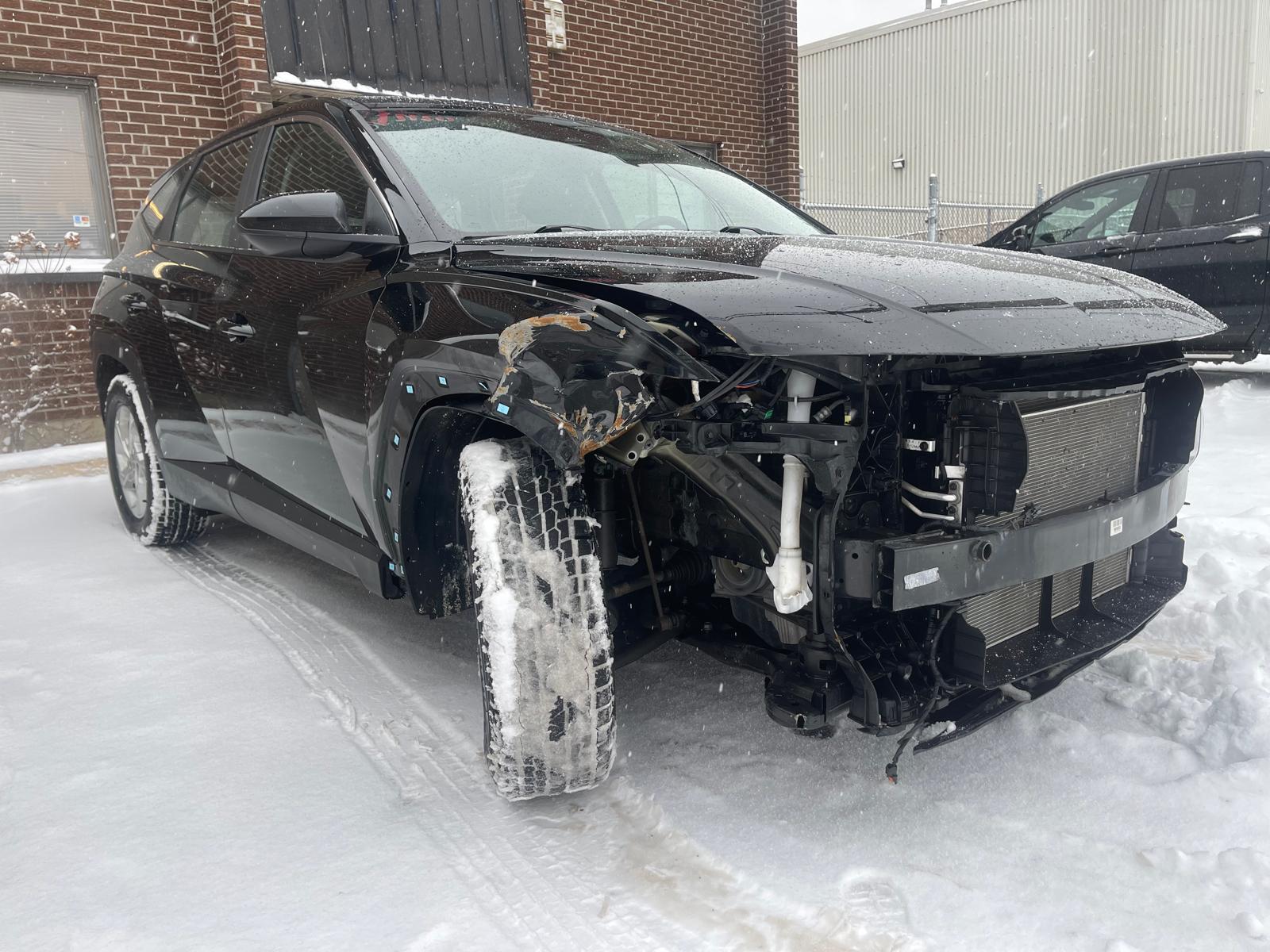 PHOTO-2026-01-15-14-33-52 5.jpg