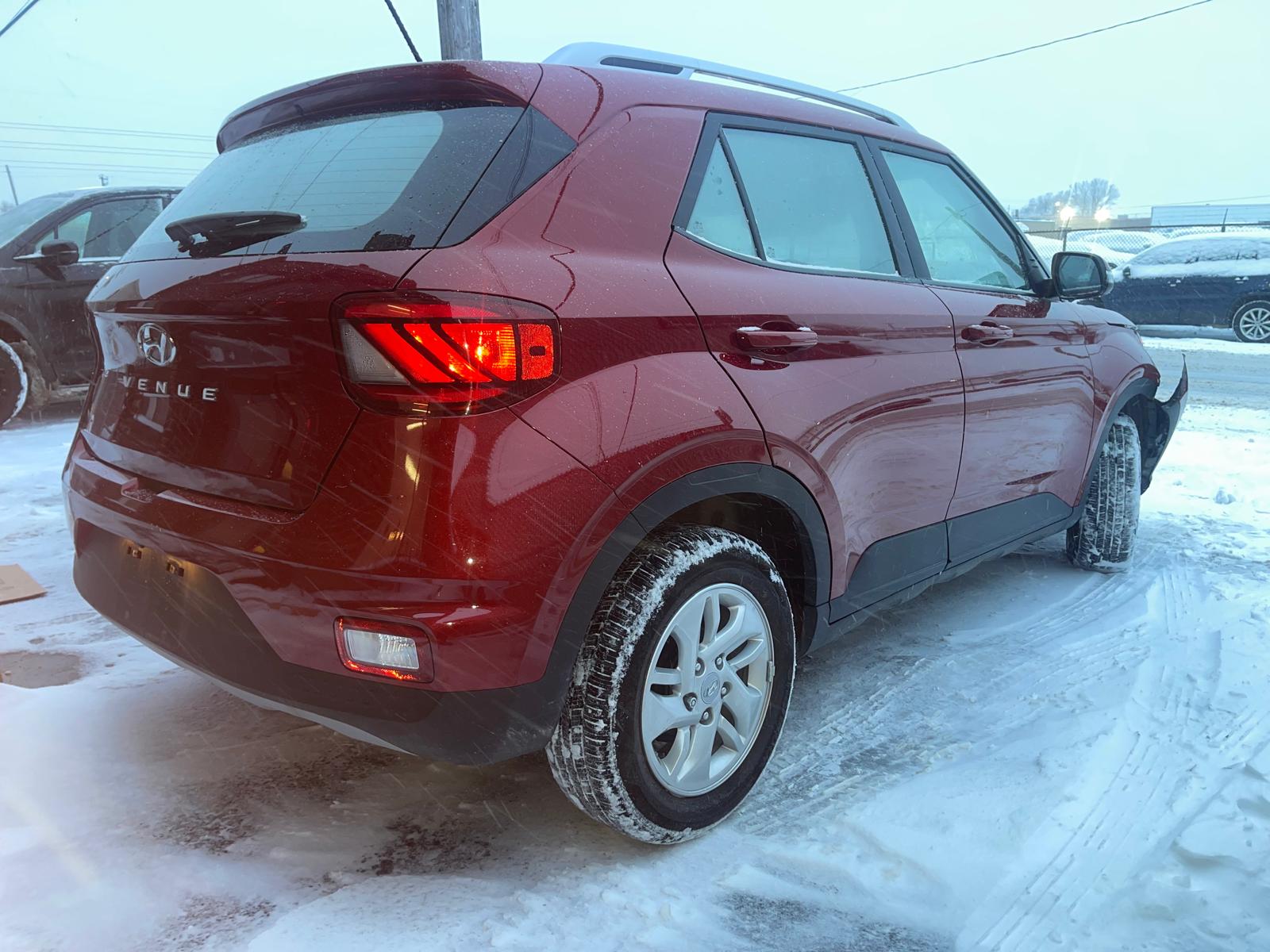 PHOTO-2026-01-15-16-34-00 9.jpg