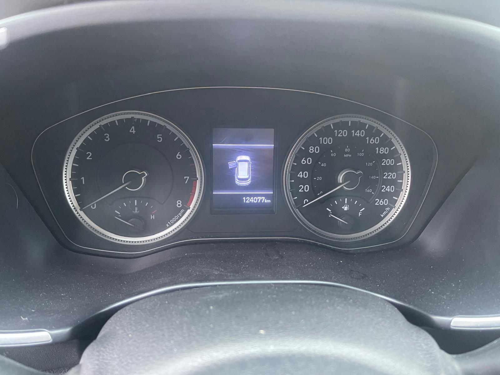 PHOTO-2026-01-19-15-48-41 5.jpg