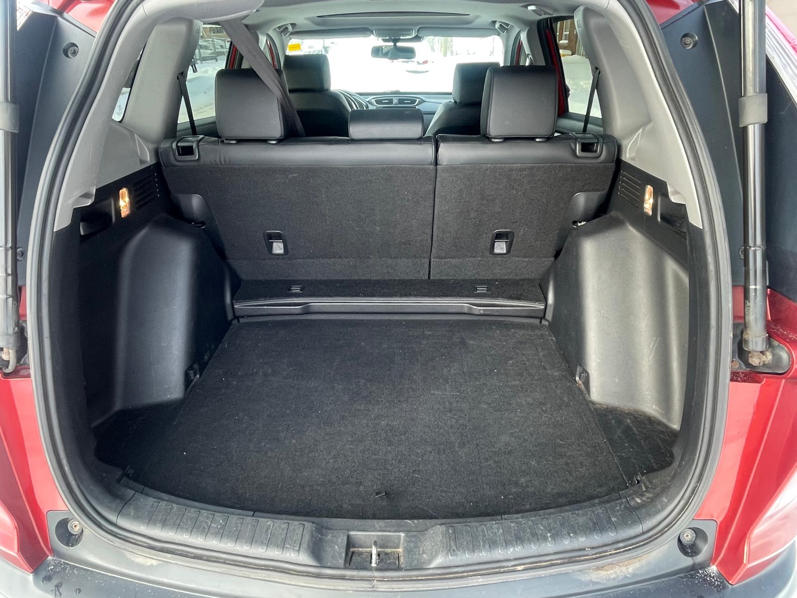 PHOTO-2026-01-28-11-23-27 2.jpg