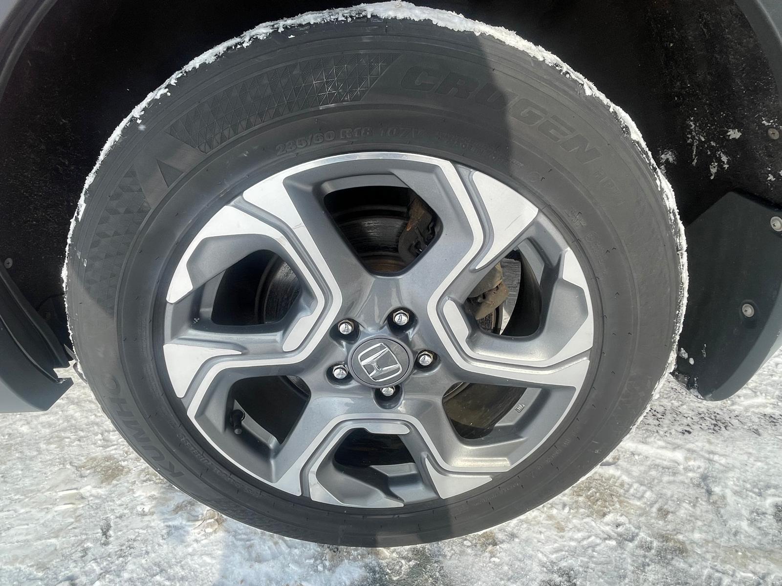 PHOTO-2026-01-28-11-47-34 4.jpg