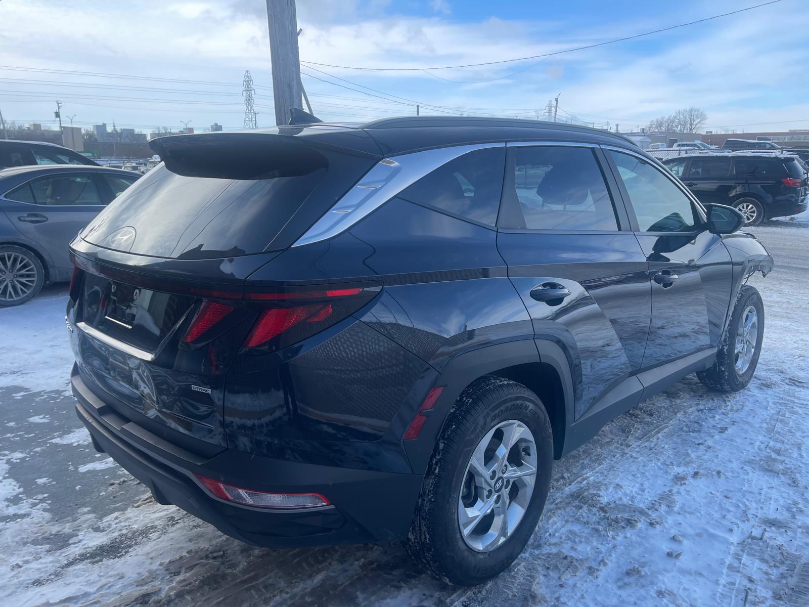 PHOTO-2026-01-30-10-24-51 3.jpg