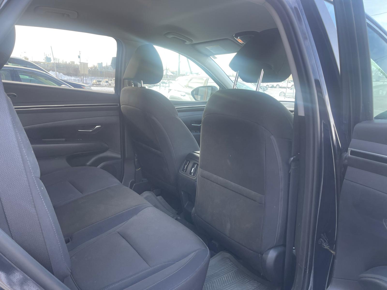 PHOTO-2026-01-30-10-24-51 7.jpg