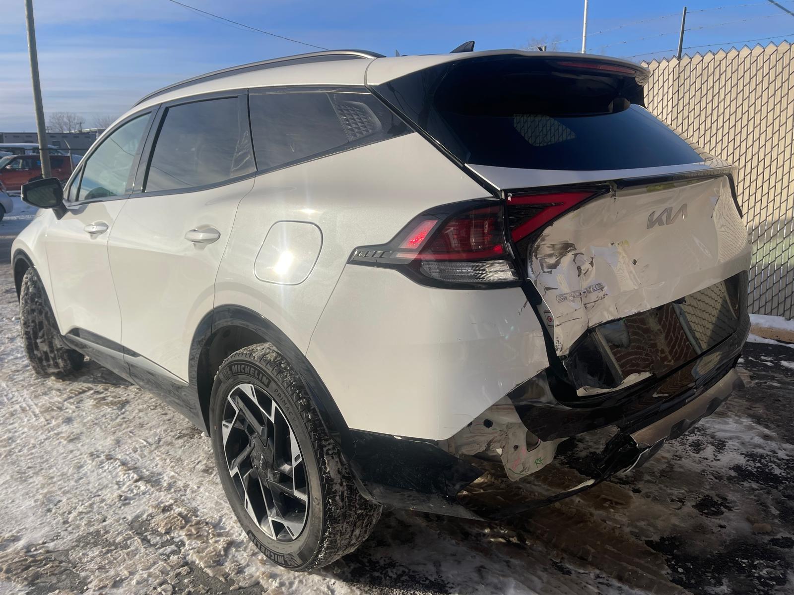 PHOTO-2026-01-30-16-01-17 5.jpg