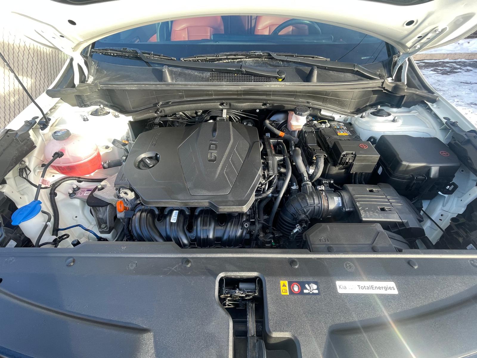 PHOTO-2026-01-30-16-01-16 3.jpg