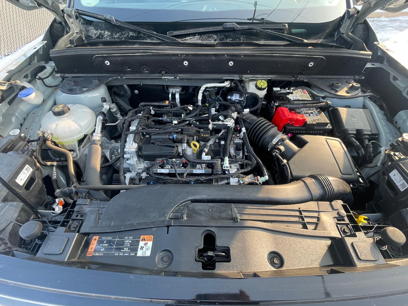 PHOTO-2026-02-04-10-03-51 21.jpg