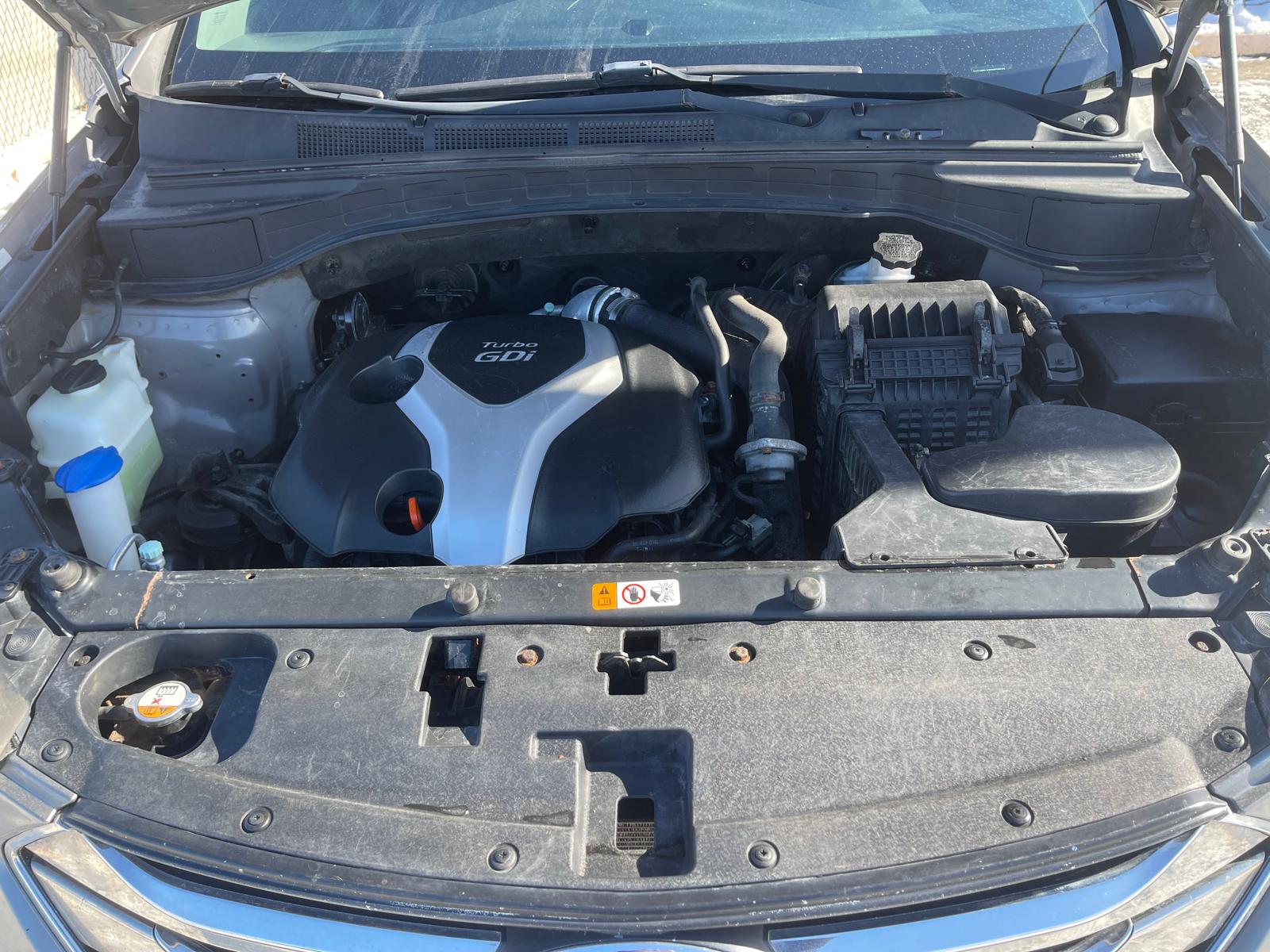 PHOTO-2026-02-13-11-53-07 4.jpg