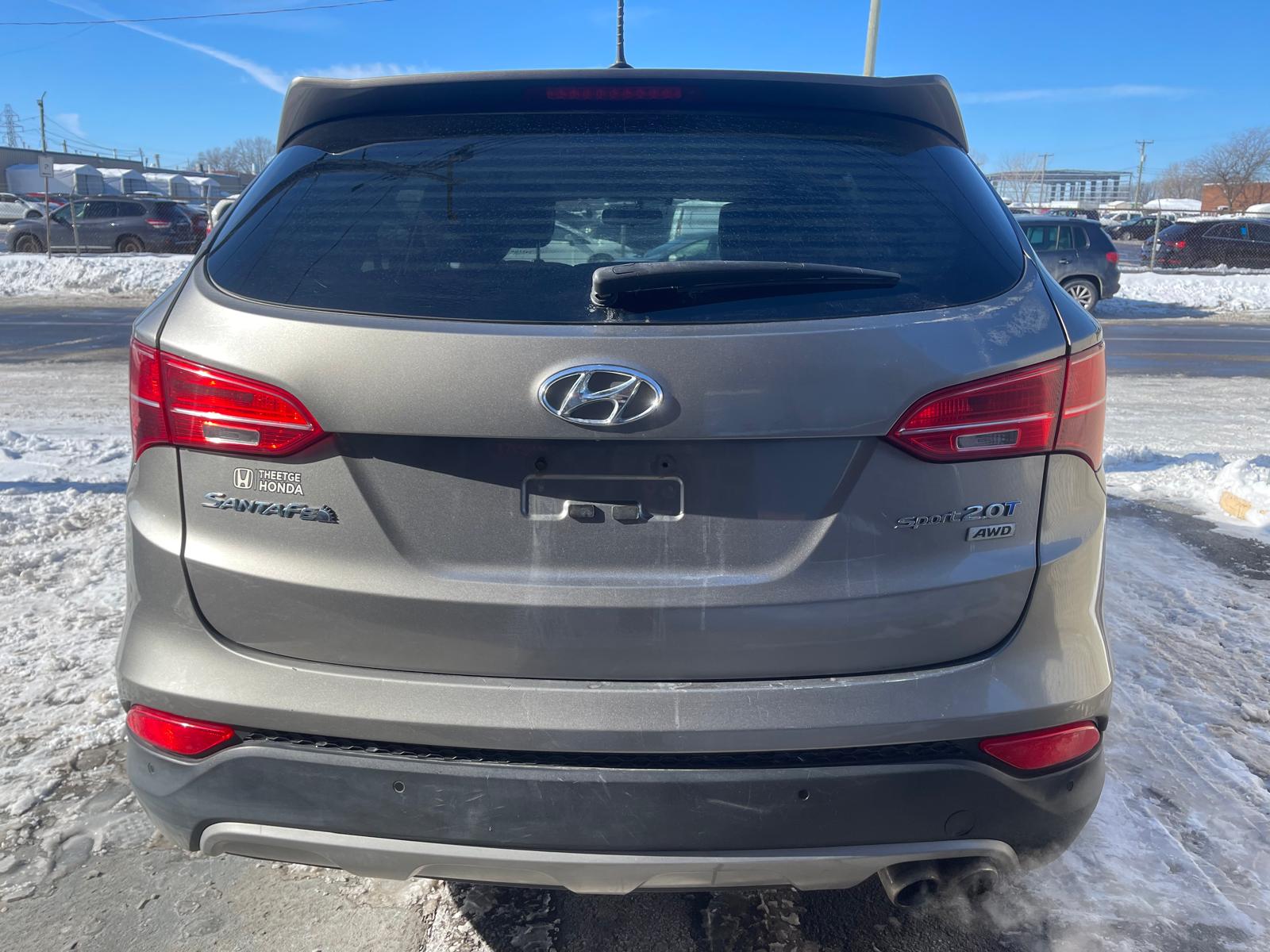 PHOTO-2026-02-13-11-53-06 5.jpg