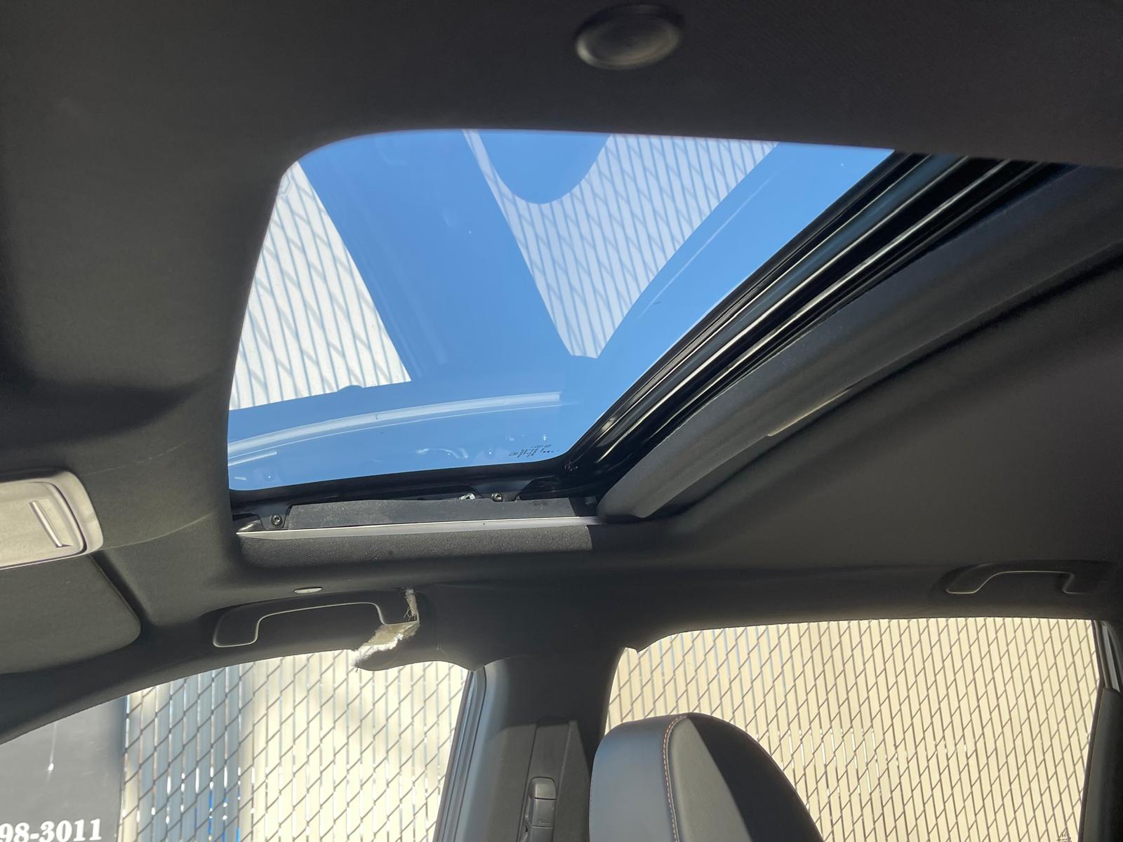 PHOTO-2026-02-13-13-46-07 20.jpg