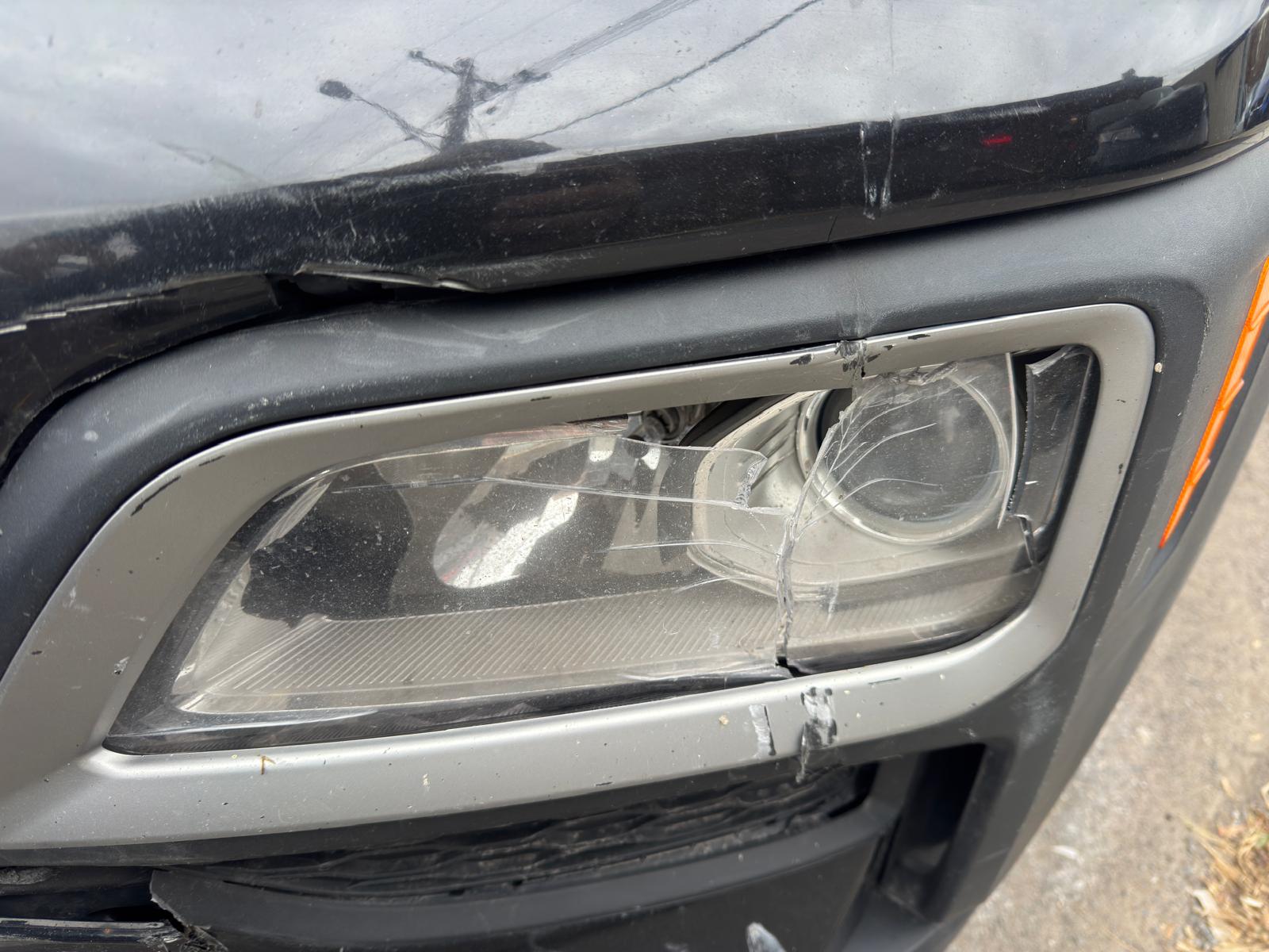 PHOTO-2026-02-16-03-20-56 2.jpg