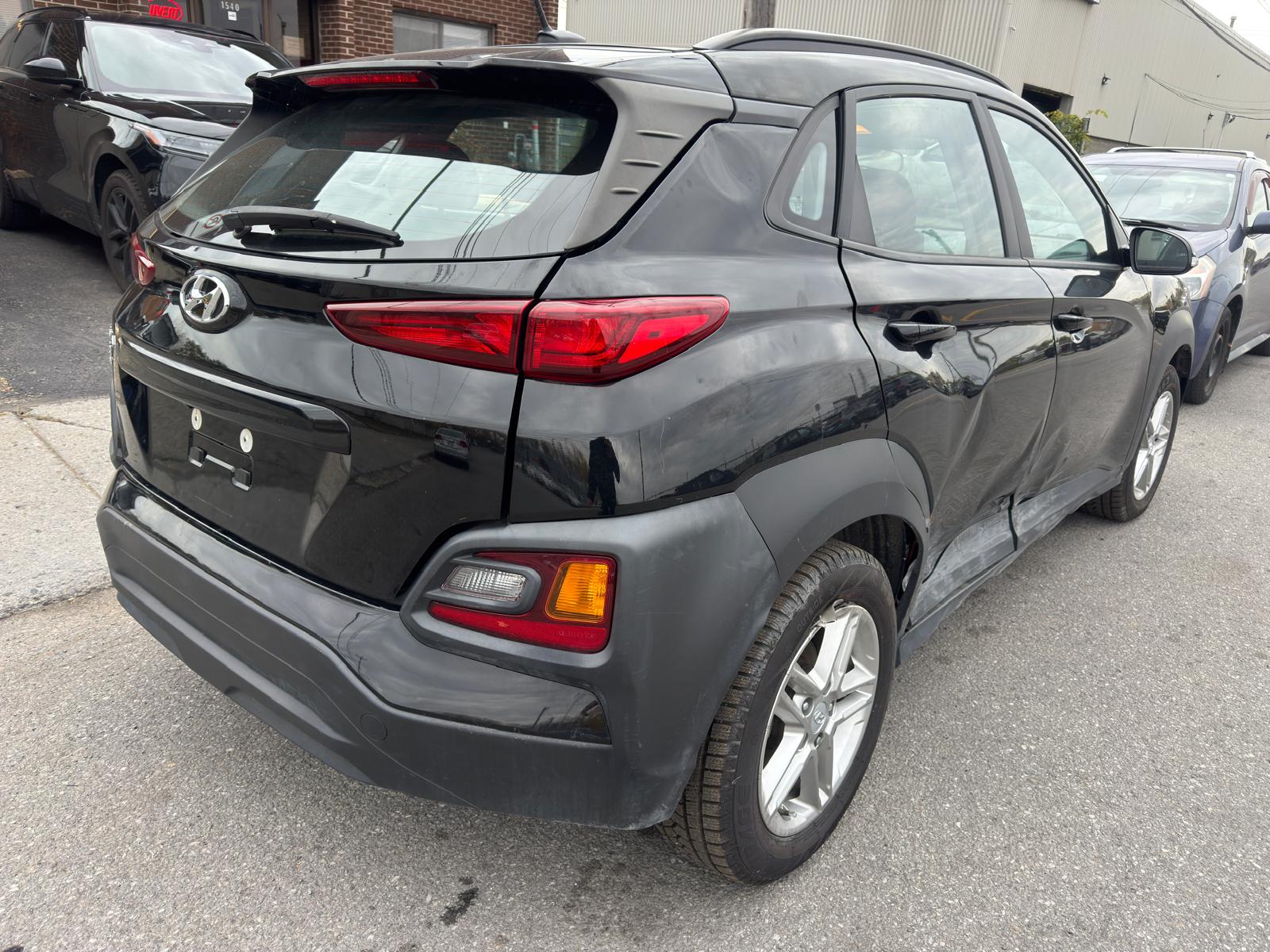 PHOTO-2026-02-16-03-20-59 2.jpg