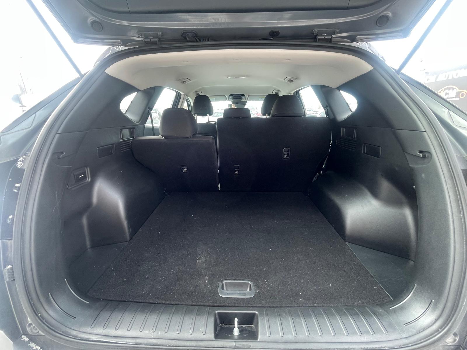 PHOTO-2026-02-26-15-15-43 10.jpg