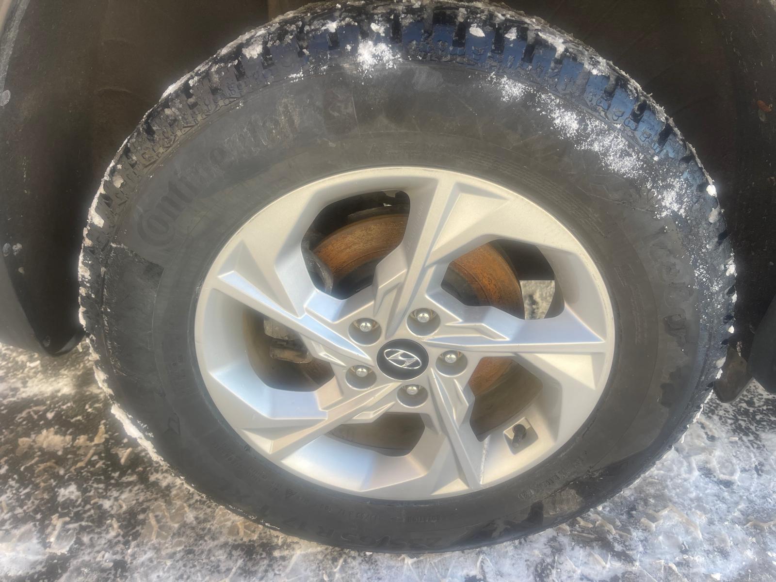 PHOTO-2026-02-26-16-10-03 4.jpg