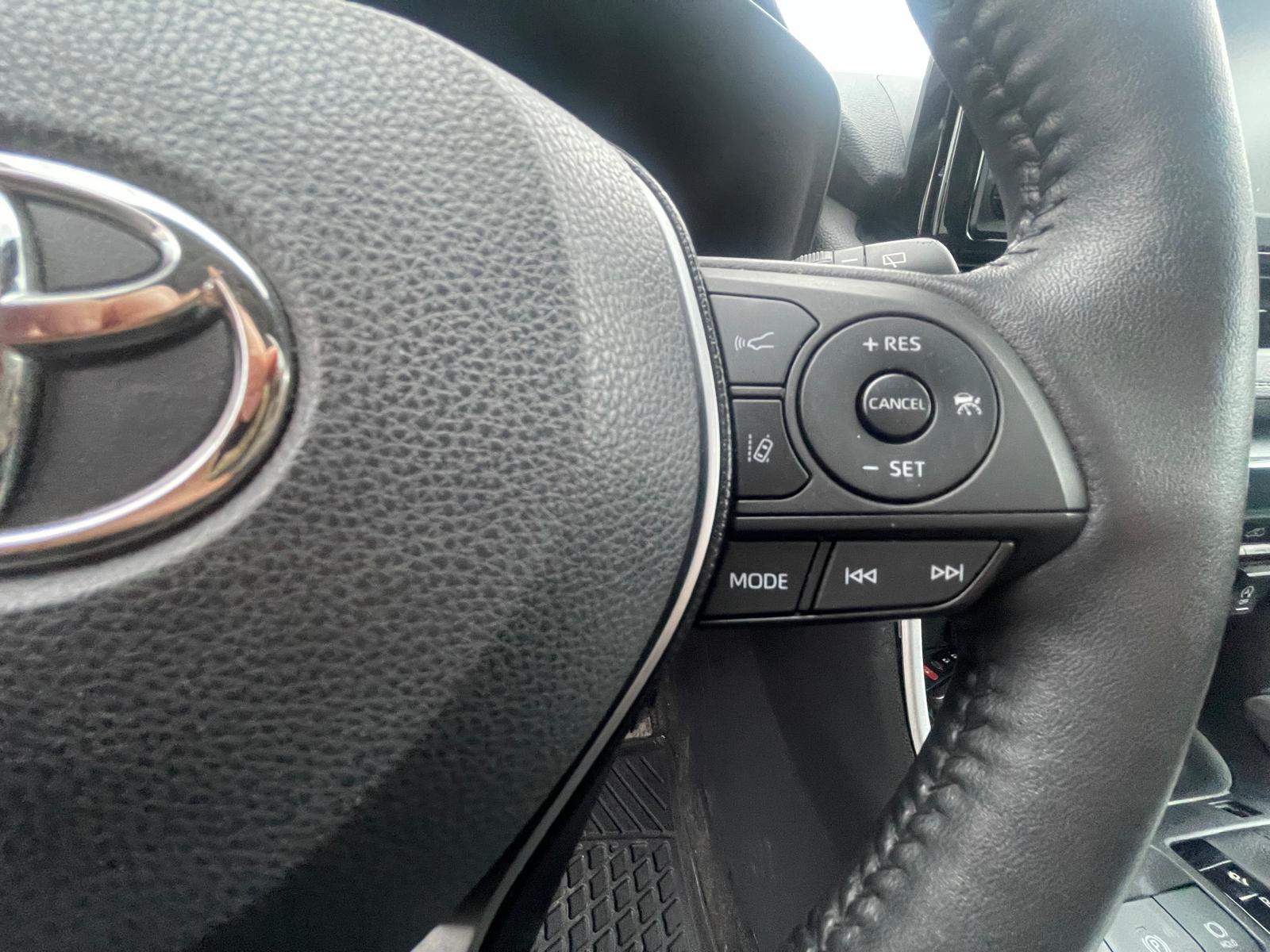 PHOTO-2026-03-11-10-58-51 5.jpg