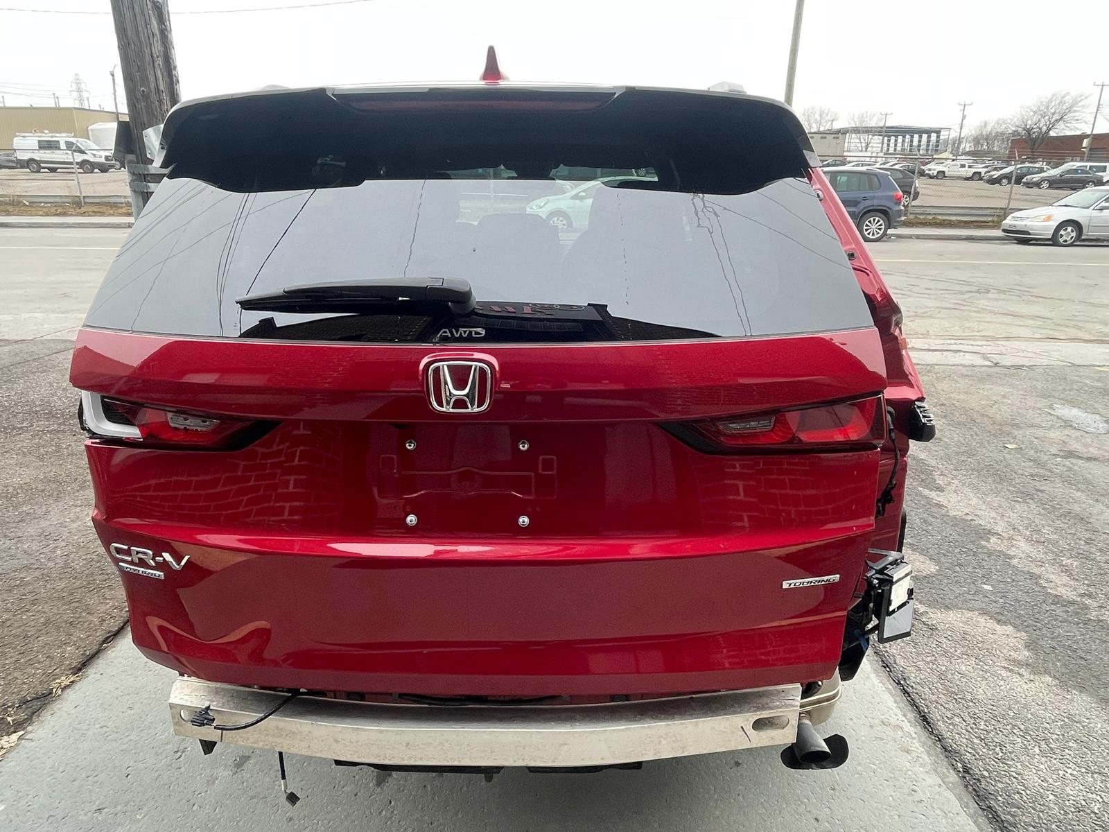 PHOTO-2026-03-13-16-34-29 4.jpg