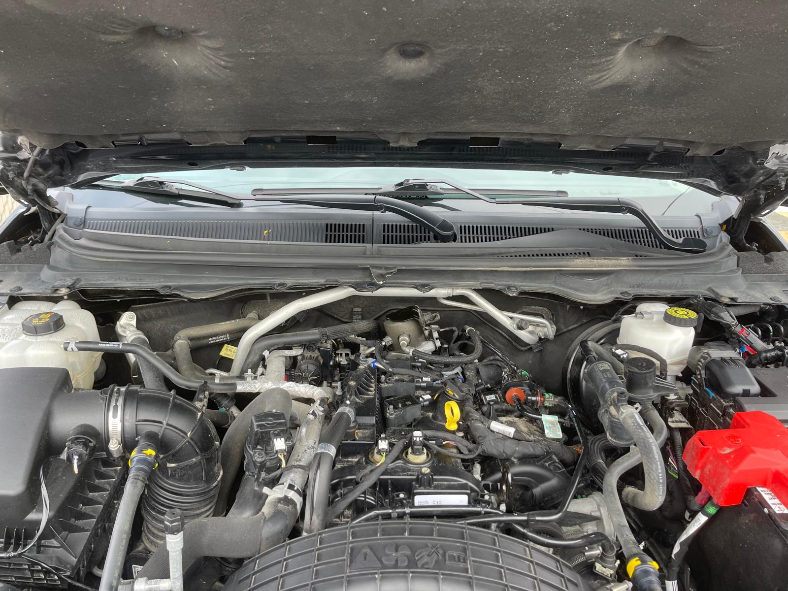 PHOTO-2026-03-17-15-29-22 30.jpg