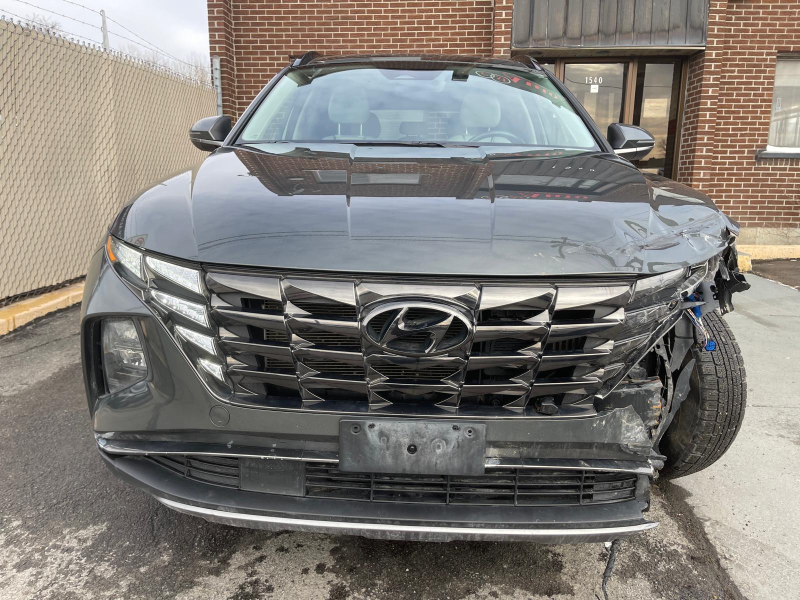 PHOTO-2026-03-18-17-13-55 11.jpg