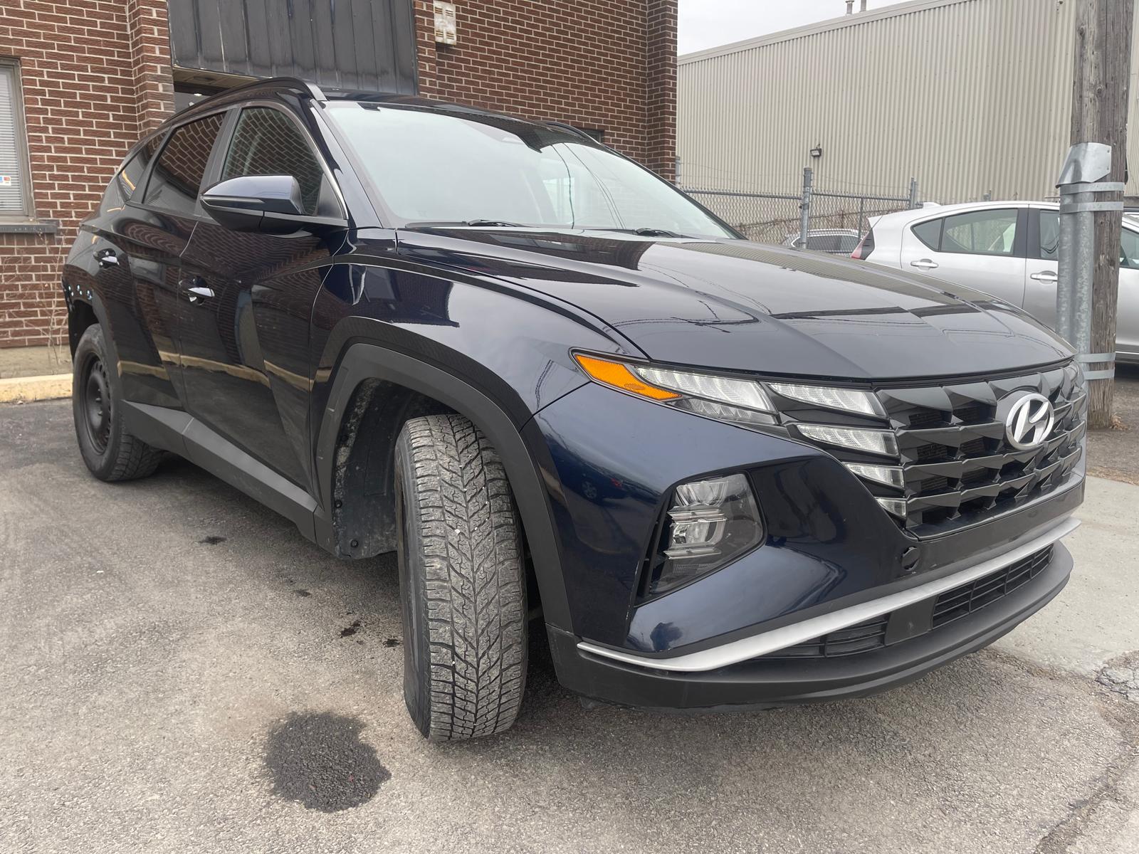 PHOTO-2026-04-02-15-57-36 2.jpg