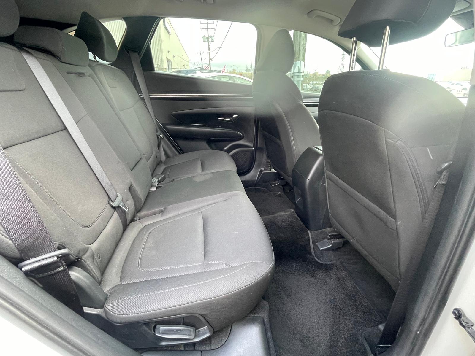 PHOTO-2026-04-07-17-15-14 22.jpg