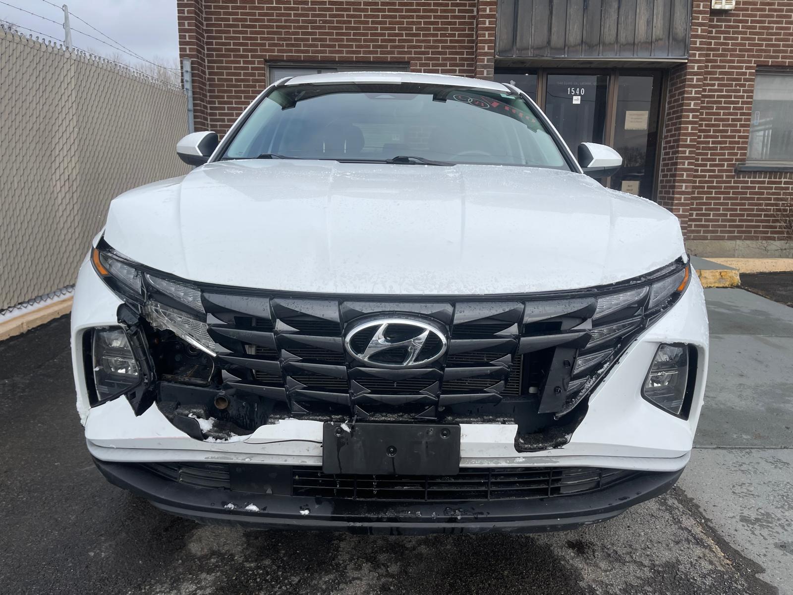 PHOTO-2026-04-07-17-15-14 4.jpg