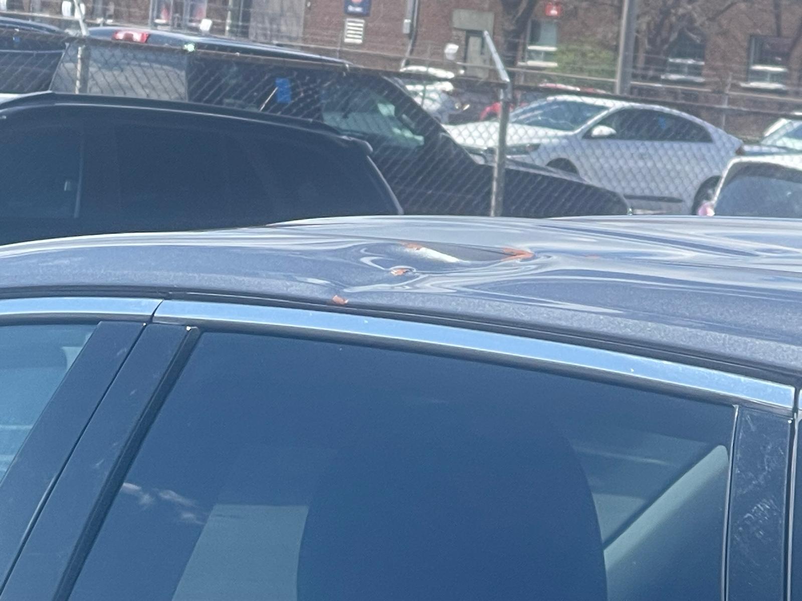 PHOTO-2026-05-11-15-07-00.jpg