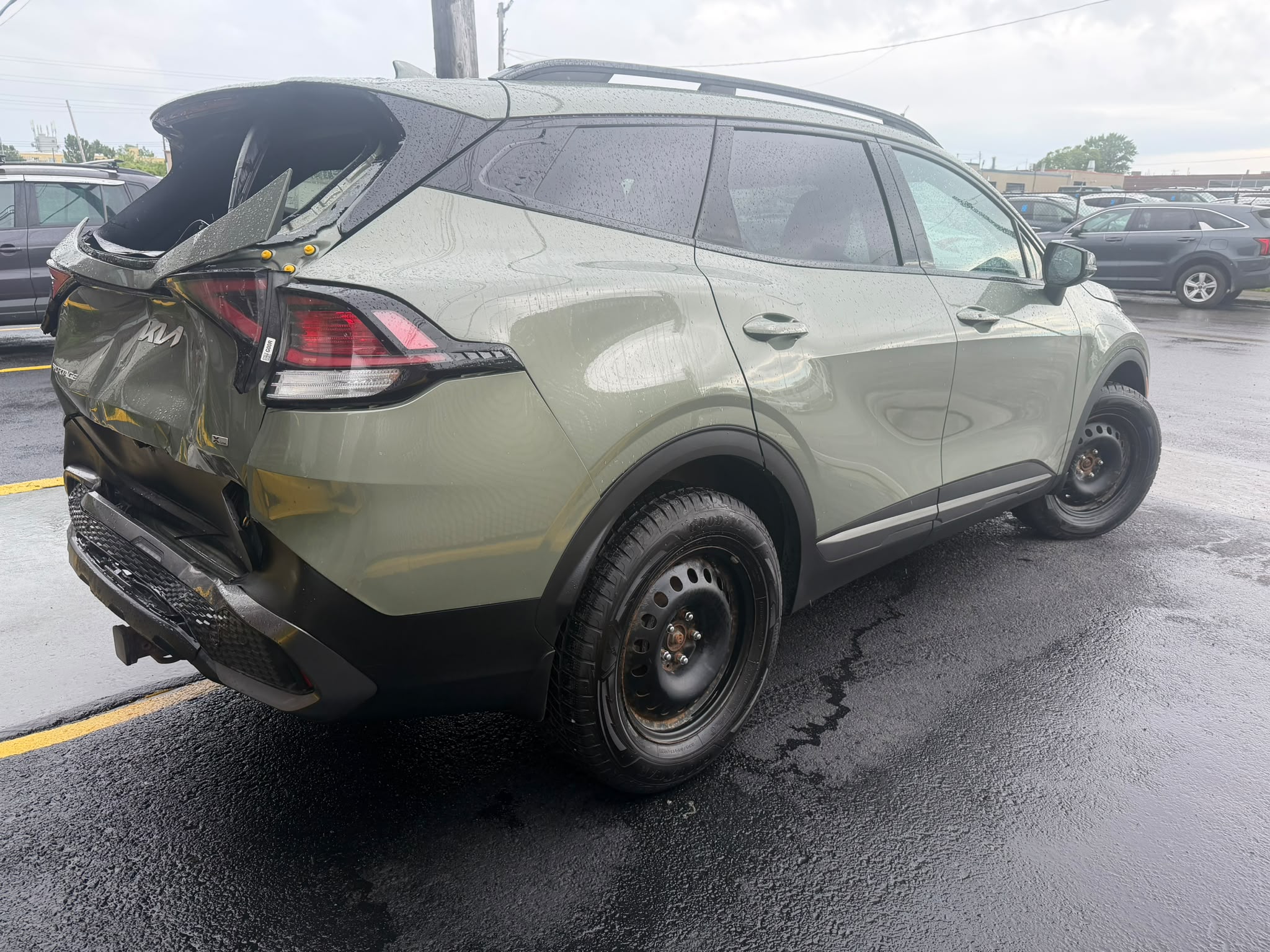 PHOTO-2026-06-18-15-59-30 24.jpg