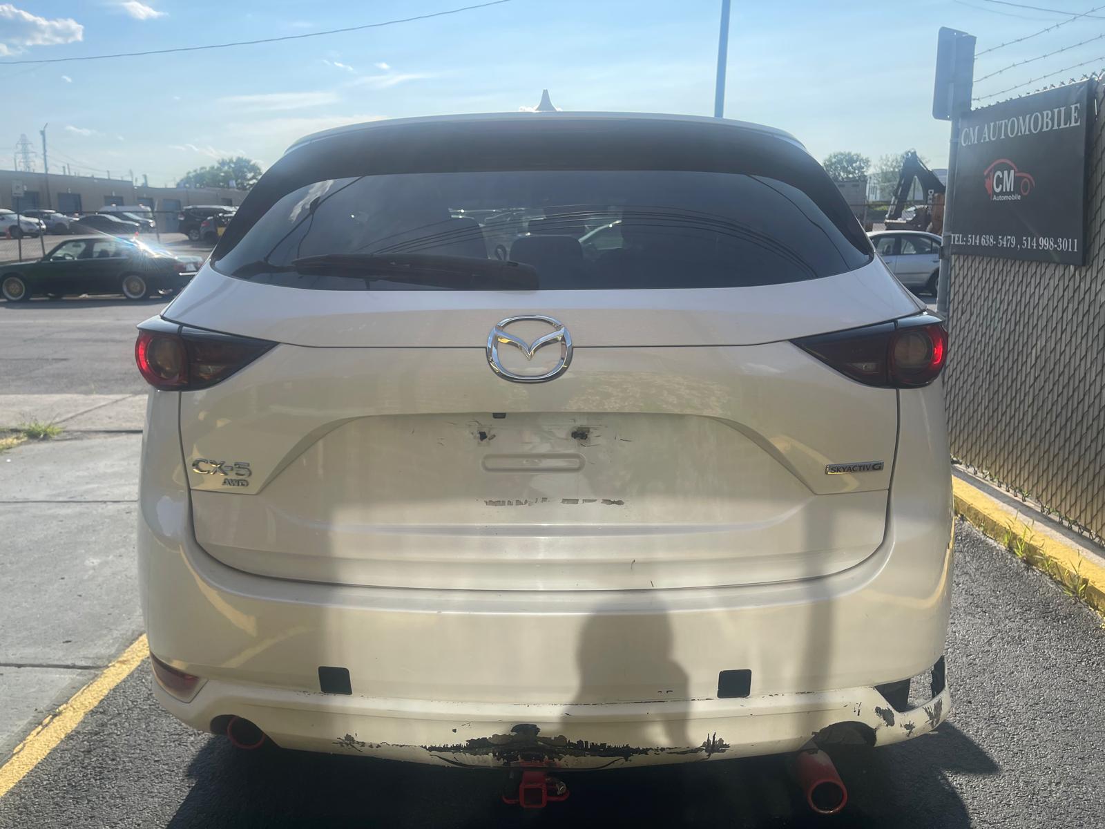PHOTO-2026-07-24-10-58-02 2.jpg